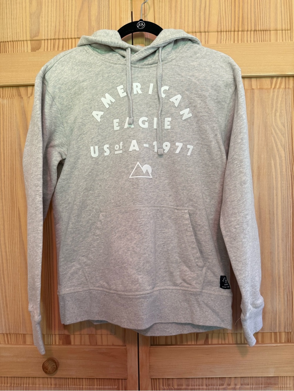 American Eagle Outfitters Light Gray Logo Pullover Hoodie
